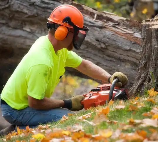 tree services Old Field